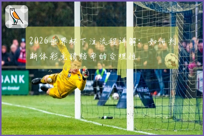 2026世界杯下注流程详解：如何判断体彩竞猜赔率的合理性