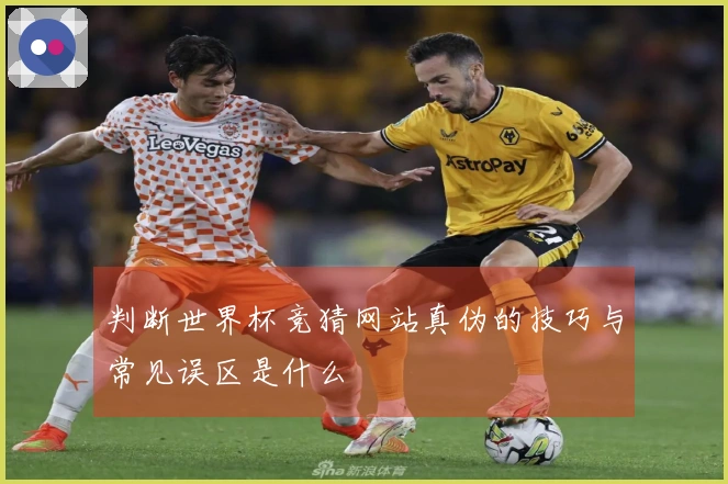 判断世界杯竞猜网站真伪的技巧与常见误区是什么