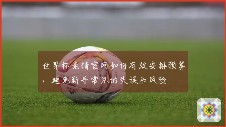 世界杯竞猜官网如何有效安排预算，避免新手常见的失误和风险