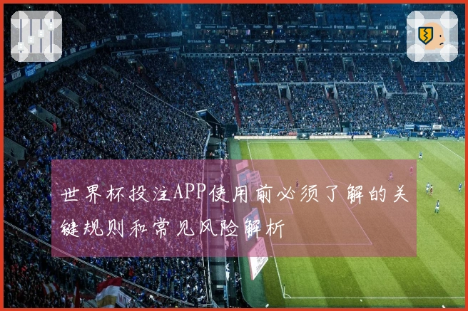 世界杯投注APP使用前必须了解的关键规则和常见风险解析