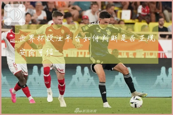 世界杯投注平台如何判断是否正规安全可信-