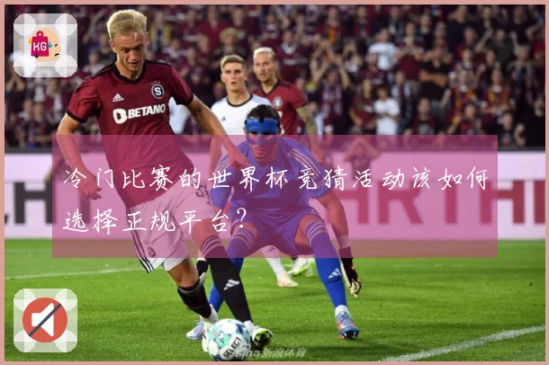 冷门比赛的世界杯竞猜活动该如何选择正规平台？