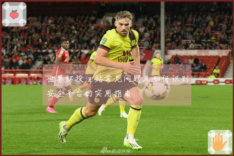 世界杯投注站常见问题及如何识别安全平台的实用指南