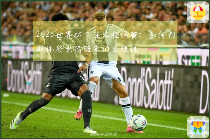 2026世界杯下注流程详解：如何判断体彩竞猜赔率的合理性