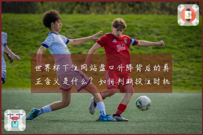 世界杯下注网站盘口升降背后的真正含义是什么？如何判断投注时机？