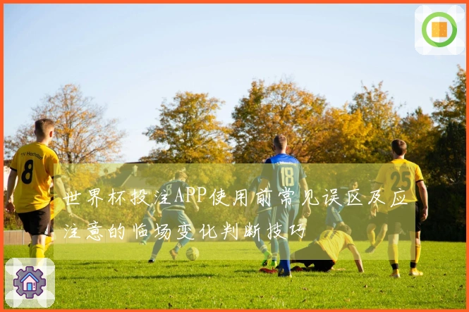 世界杯投注APP使用前常见误区及应注意的临场变化判断技巧