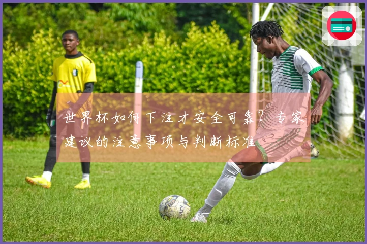 世界杯如何下注才安全可靠？专家建议的注意事项与判断标准