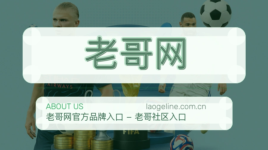 老哥网关于我们